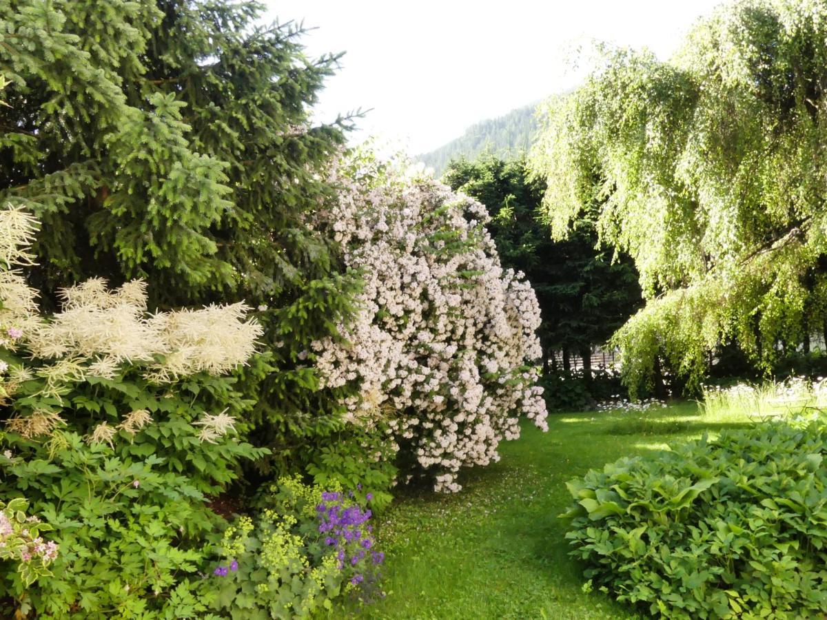 Ferienwohnungen Familie Wetzlinger Bad Kleinkirchheim Ngoại thất bức ảnh