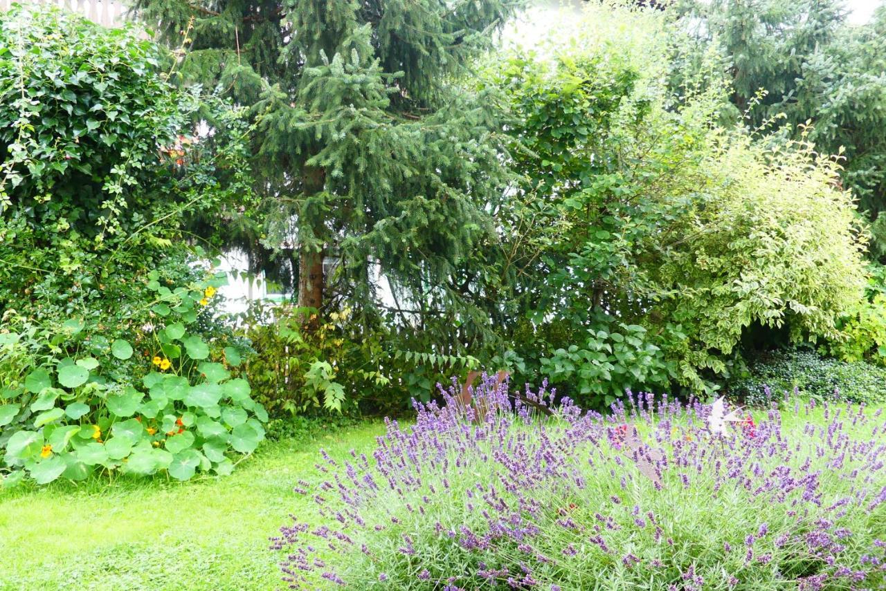 Ferienwohnungen Familie Wetzlinger Bad Kleinkirchheim Ngoại thất bức ảnh