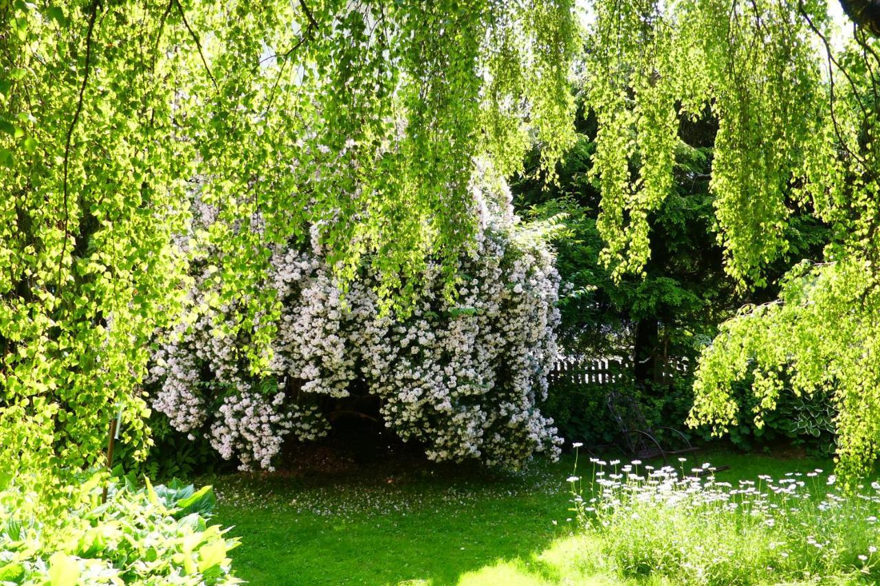 Ferienwohnungen Familie Wetzlinger Bad Kleinkirchheim Ngoại thất bức ảnh